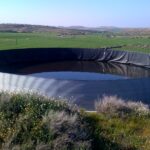 Galeria-bajo-texto-2