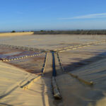 Galeria-bajo-texto-7